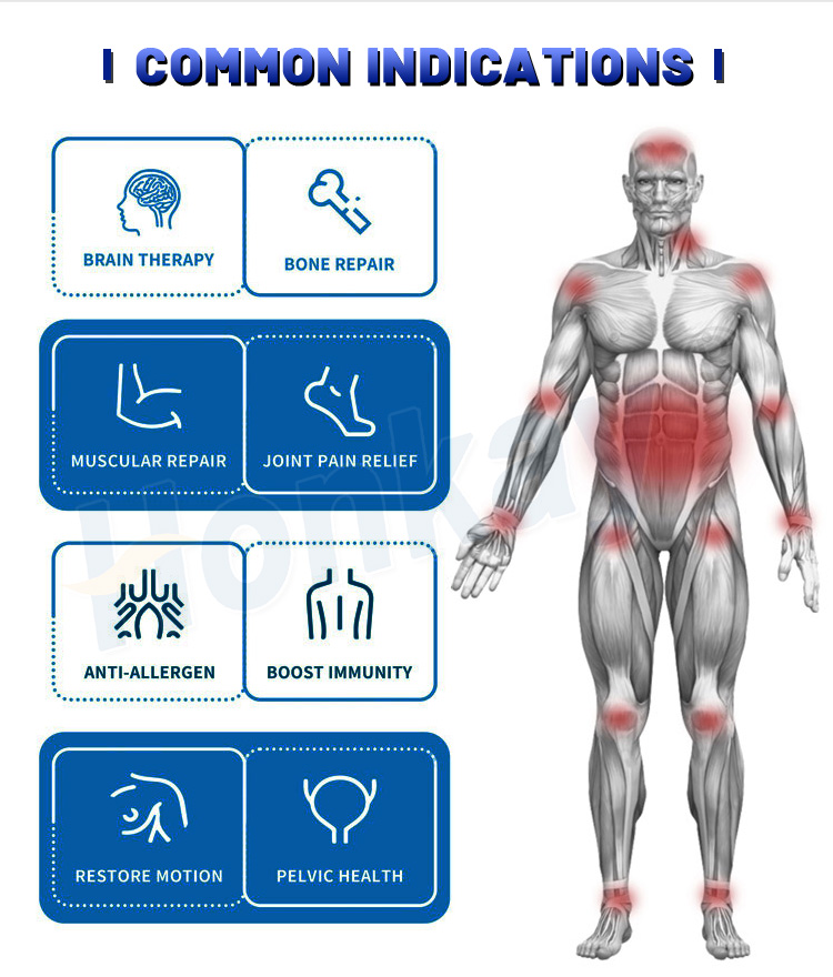 portable pemf device